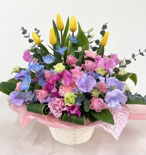 スプリングギフト