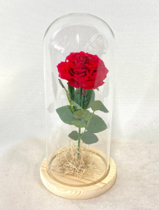 プロポーズの花